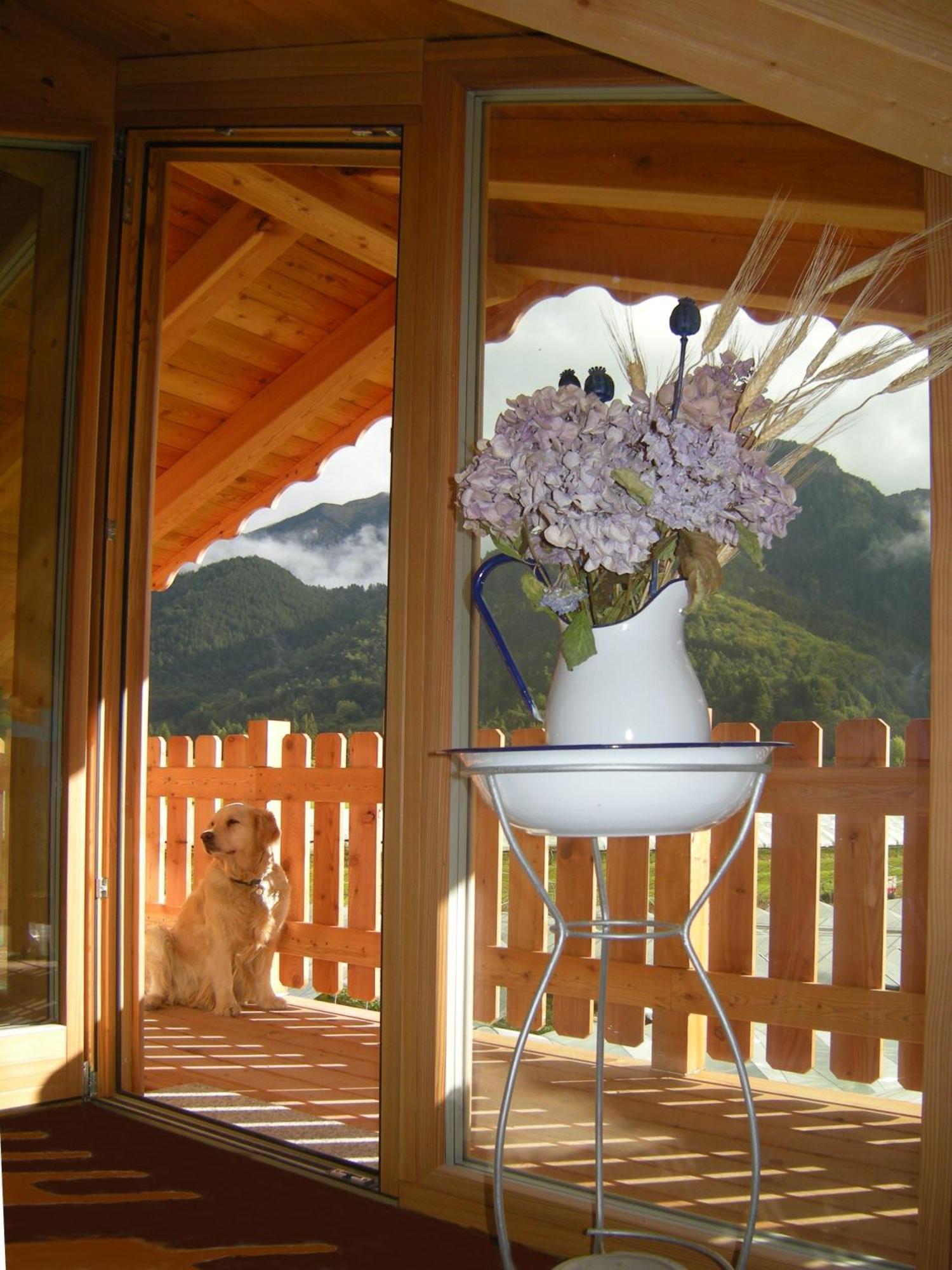 Garni Dal Mozat Bed & Breakfast Lenzumo di Concei Exterior foto